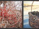 Invasive Bittersweet Basket