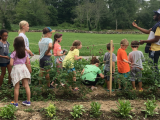 Summer on the Farm (Ages 8-10)
