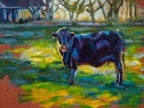 May Oil Painting - Afternoon, Open Paint