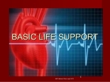 Basic Life Support for Healthcare Providers Recertification