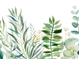 Beginner Botanical Illustration Workshop