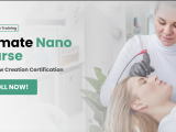 Ultimate Nano Brows Course