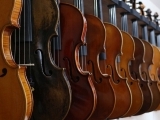 Fiddle Fundamentals (Ages 5-9)