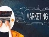 Digital Marketing for Small Business: Stay in the Game- Remote Learning Course-INF238