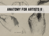 Anatomy For Artists II