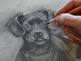 Charcoal Drawing With Shawna Lee - part 1 ( Online )