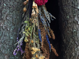 Besoms: A Witch's Broom Workshop