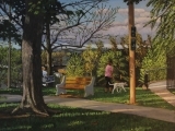 Plein Air Drawing and Painting (Outdoor)