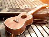 MidCoast Ukes: Next Steps