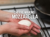 Cheese-Making: Mozzarella