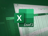 MS Excel - Level 3