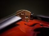 Beginning Fiddle & Mandolin