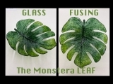 EW-08-12 or 19 Glass Fusion of Elegance "Super Monstera"