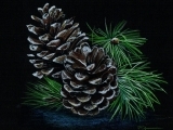 Draw Winter Pine Cones Workshop  ( North Classroom)