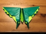Advanced Origami ( In Person ) Litchfield