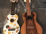 BEYOND BEGINNERS UKULELE, THE JOURNEY CONTINUES