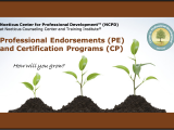 NCPD: 2-SF22-4b-Noeticus Evidence-Based Approaches - Practice Endorsement™ (NEBA-PE; 45.0 Contact Hours)