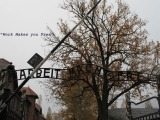 S2207 – AUSCHWITZ AND ITS ROLE IN THE FINAL SOLUTION OF THE NAZIS