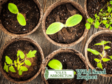 Winter Seed Sowing with Wild Seed Project