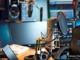 An Introduction To Voiceovers (Online) W24