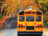 Class B CDL - School Bus and Passenger Endorsement Driver Training