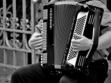 Learn To Play The Accordion (In Person) Litchfield