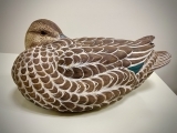 Carving the Blue Winged Teal Hen Sleeper