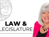 Legislative Process, Division Resources & Violations