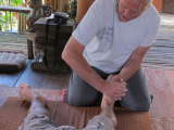 Original source: http://thaimassage.com/wp-content/uploads/2015/06/IMG_0121-copy.jpg Traditional Thai Foot Massage(C802)