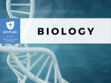 Biology, 3rd Ed/Live: Fowler (Option 2)