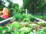 Growing your Veggie Green Thumb