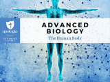 Advanced Biology: The Human Body, 2nd Ed.