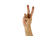Intro To ASL & Deaf Culture (Online)