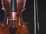Fiddle 1