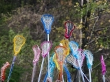 Girls Lacrosse Ages 8-11