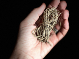 Making Cordage