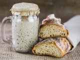 Sourdough Starter, Vandalia MENU 0115 VA01E