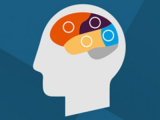 The Teen Brain