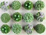 Succulent Floral Themed Cupcake Decorating