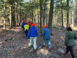 Out and About in Maine, Spring Term