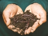 Grow a Better Vegetable Garden; 3. Composting