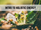 Introduction to Holistic Energy