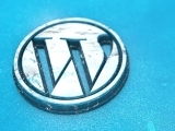 Intermediate WordPress Websites