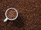 Original source: https://s3.amazonaws.com/coursestorm/live/media/abe5b1e129b811efaf130affdf56ea21 Bean 2 Cup