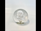 EW-02/10-11 Bubble Trap Paperweight