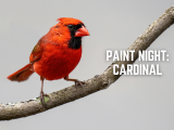Paint Night: Cardinal