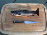Fish For Dinner: How to Clean Your Catch on Tuesday, May 7 at River House