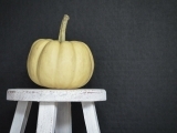 Create Your Own Artistic Autumn Pumpkins! for 16+ (North Classroom)