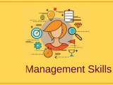 Certificate in Management Skills