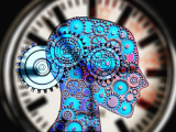 Original source: https://pixabay.com/get/gcc457af81d9f1ac7caee694ea5b7d91cf670a907fb5cfd5e51bb099797e2864f35248fbd0e35ef619f1e0b0dea232bc9ba22ef5e87d1861fe4060a5818229b5f_1280.jpg AP ®Psychology  (1st semester of 2 semester course)